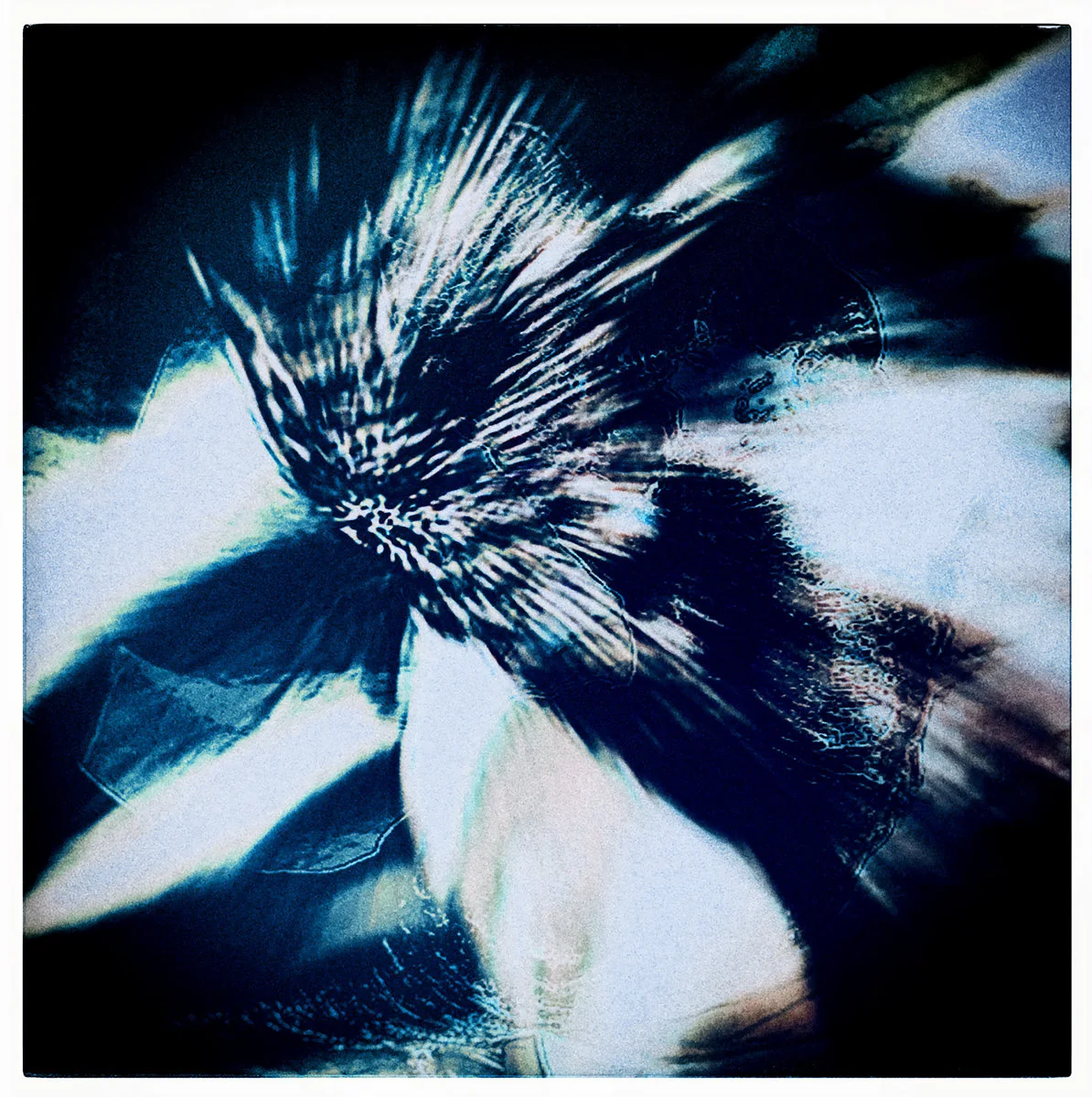 Sculpt it (Extended Edition)